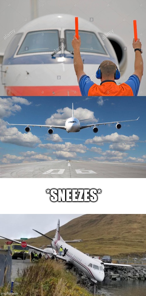 Catastrophic sneeze | *SNEEZES* | image tagged in blank white template | made w/ Imgflip meme maker