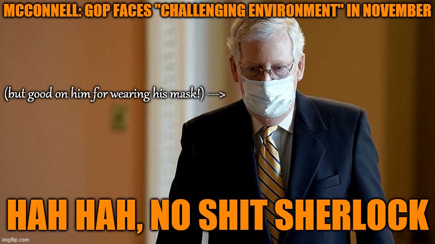 Roll safe and wear your masks if you want to make it to November. Remember, dead Democrats can vote: you can't. | MCCONNELL: GOP FACES "CHALLENGING ENVIRONMENT" IN NOVEMBER; (but good on him for wearing his mask!) --->; HAH HAH, NO SHIT SHERLOCK | image tagged in mitch mcconnell mask,election 2020,mitch mcconnell,political humor,politics lol,face mask | made w/ Imgflip meme maker