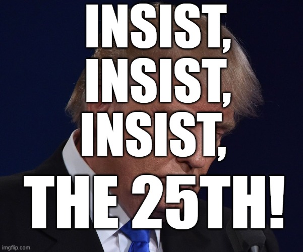25th | INSIST, INSIST, INSIST, THE 25TH! | image tagged in trump,remove,danger to america,25th amendment,impeach,disgrace | made w/ Imgflip meme maker