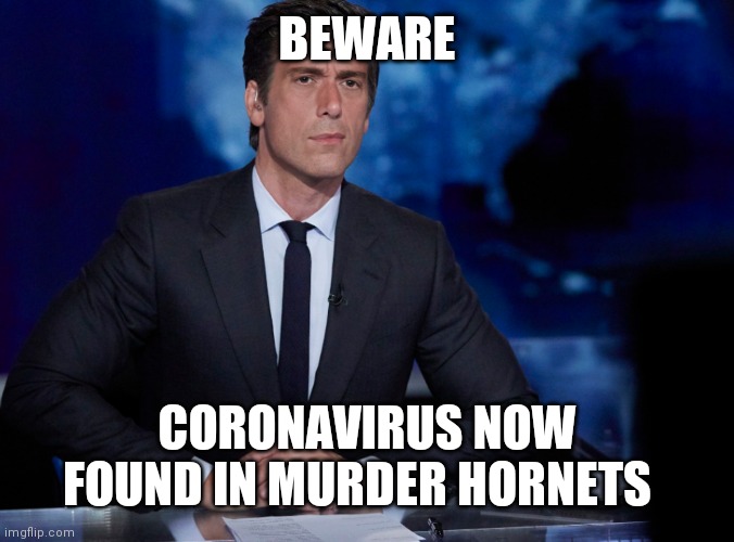 Murder hornets | BEWARE; CORONAVIRUS NOW FOUND IN MURDER HORNETS | image tagged in coronavirus | made w/ Imgflip meme maker