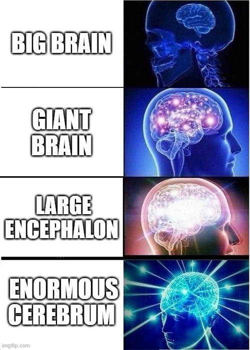 Expanding Brain | BIG BRAIN; GIANT BRAIN; LARGE ENCEPHALON; ENORMOUS CEREBRUM | image tagged in memes,expanding brain | made w/ Imgflip meme maker
