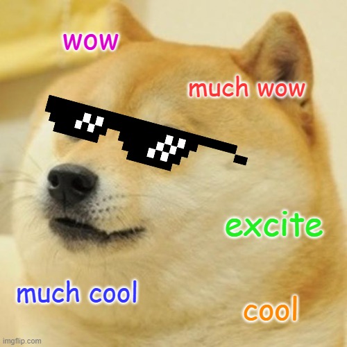 Doge | wow; much wow; excite; much cool; cool | image tagged in memes,doge | made w/ Imgflip meme maker