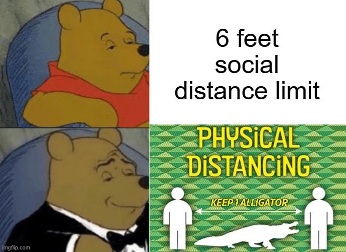 Kinda old but who cares | 6 feet social distance limit | image tagged in memes,tuxedo winnie the pooh | made w/ Imgflip meme maker