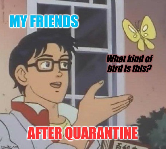 After Quarantine | MY FRIENDS; What kind of bird is this? AFTER QUARANTINE | image tagged in memes,is this a pigeon | made w/ Imgflip meme maker