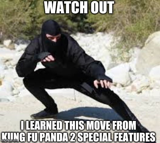 I learned this move from Kung Fu Panda 2 Special Features | WATCH OUT; I LEARNED THIS MOVE FROM KUNG FU PANDA 2 SPECIAL FEATURES | image tagged in funny,ninja,kung fu panda | made w/ Imgflip meme maker