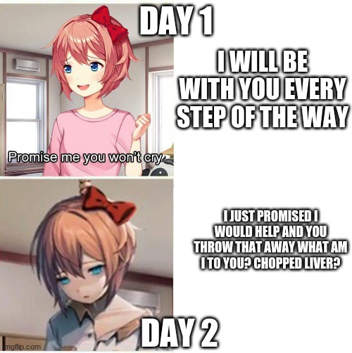 Promise you won't cry | DAY 1; I WILL BE WITH YOU EVERY STEP OF THE WAY; I JUST PROMISED I WOULD HELP AND YOU THROW THAT AWAY WHAT AM I TO YOU? CHOPPED LIVER? DAY 2 | image tagged in promise you won't cry | made w/ Imgflip meme maker
