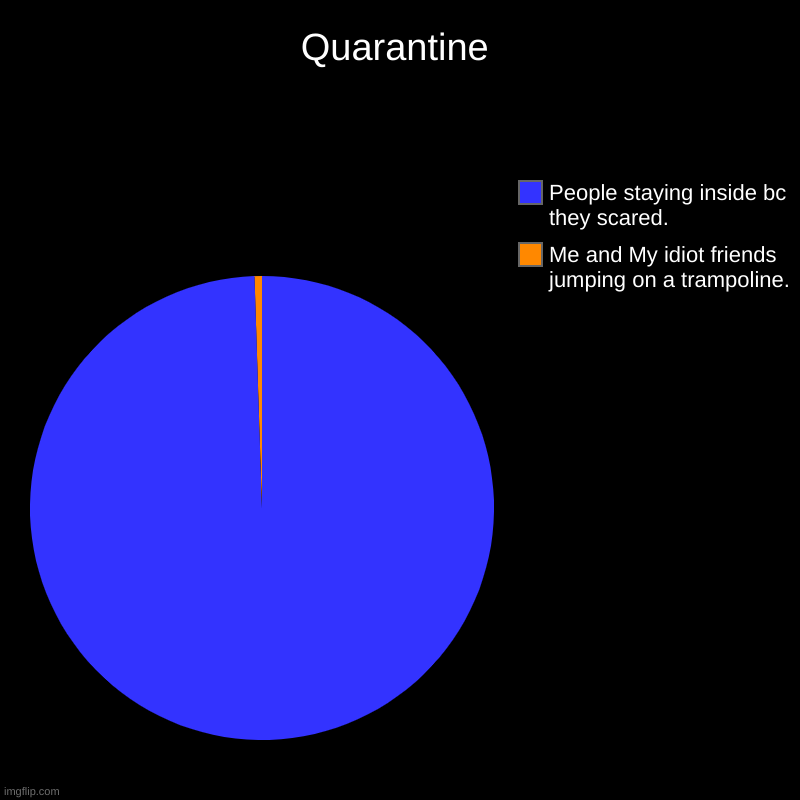 Quaratine in my neighborhood. | Quarantine | Me and My idiot friends jumping on a trampoline., People staying inside bc they scared. | image tagged in charts,pie charts | made w/ Imgflip chart maker