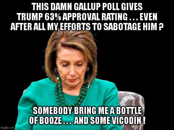 Poor libtards just can't get a break! | THIS DAMN GALLUP POLL GIVES TRUMP 63% APPROVAL RATING . . . EVEN AFTER ALL MY EFFORTS TO SABOTAGE HIM ? SOMEBODY BRING ME A BOTTLE OF BOOZE . . .  AND SOME VICODIN ! | image tagged in pelosi,gallup poll,tds | made w/ Imgflip meme maker