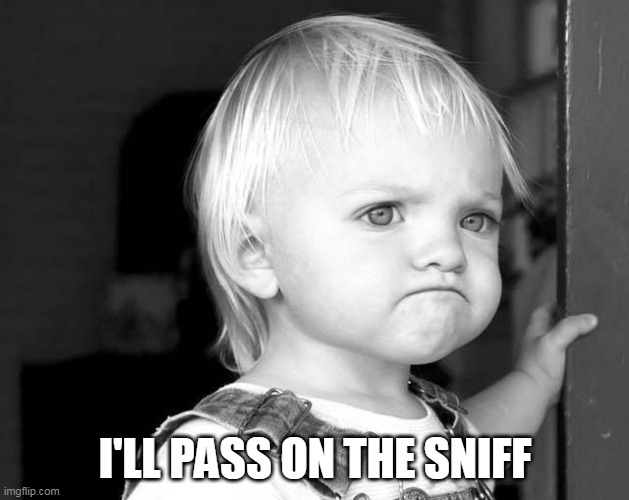 FROWN KID | I'LL PASS ON THE SNIFF | image tagged in frown kid | made w/ Imgflip meme maker