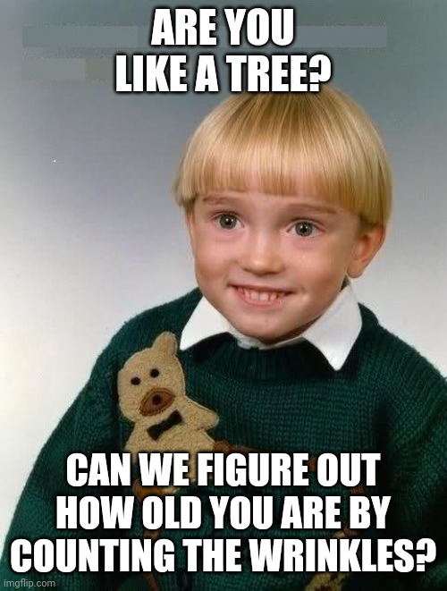 Little Kid | ARE YOU LIKE A TREE? CAN WE FIGURE OUT HOW OLD YOU ARE BY COUNTING THE WRINKLES? | image tagged in little kid | made w/ Imgflip meme maker