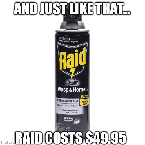 Murder hornets | AND JUST LIKE THAT... RAID COSTS $49.95 | image tagged in fun,murder hornet | made w/ Imgflip meme maker