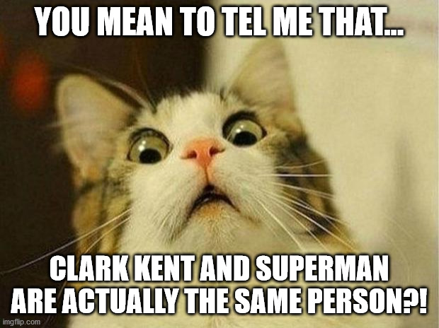 Scared Cat | YOU MEAN TO TEL ME THAT... CLARK KENT AND SUPERMAN ARE ACTUALLY THE SAME PERSON?! | image tagged in memes,scared cat | made w/ Imgflip meme maker