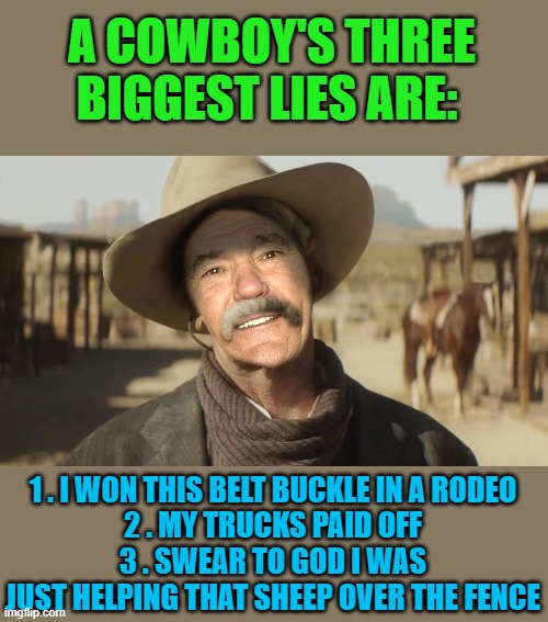 cowboy lies | A COWBOY'S THREE BIGGEST LIES ARE:; 1 . I WON THIS BELT BUCKLE IN A RODEO
2 . MY TRUCKS PAID OFF
3 . SWEAR TO GOD I WAS JUST HELPING THAT SHEEP OVER THE FENCE | image tagged in cowboy,truck,sheep | made w/ Imgflip meme maker