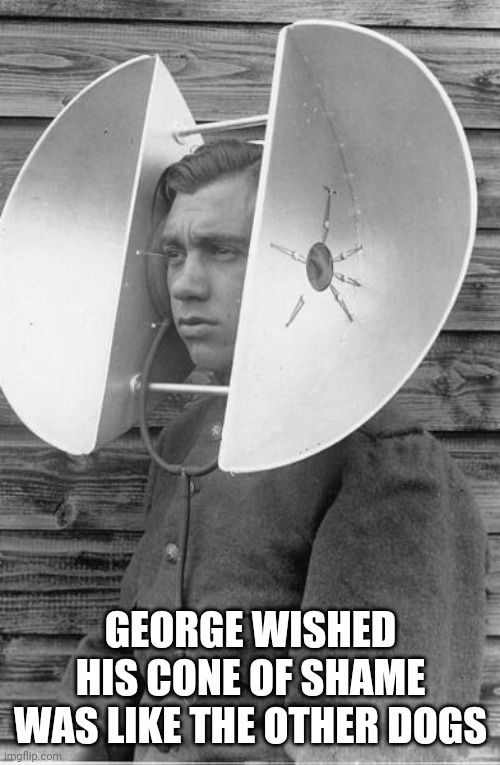 Can you hear me now | GEORGE WISHED HIS CONE OF SHAME WAS LIKE THE OTHER DOGS | image tagged in hearing,listening | made w/ Imgflip meme maker