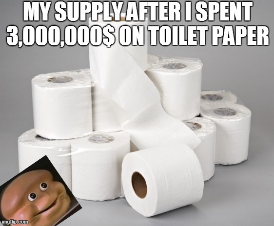 toilet paper | MY SUPPLY AFTER I SPENT 3,000,000$ ON TOILET PAPER | image tagged in toilet paper | made w/ Imgflip meme maker