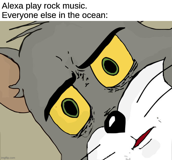 Unsettled Tom Meme | Alexa play rock music.
Everyone else in the ocean: | image tagged in memes,unsettled tom,alexa,rock music | made w/ Imgflip meme maker