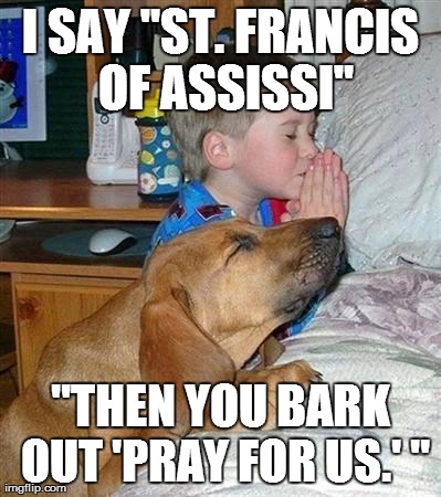 I SAY
"ST. FRANCIS OF ASSISSI" "THEN YOU BARK OUT 'PRAY FOR US.' " | made w/ Imgflip meme maker