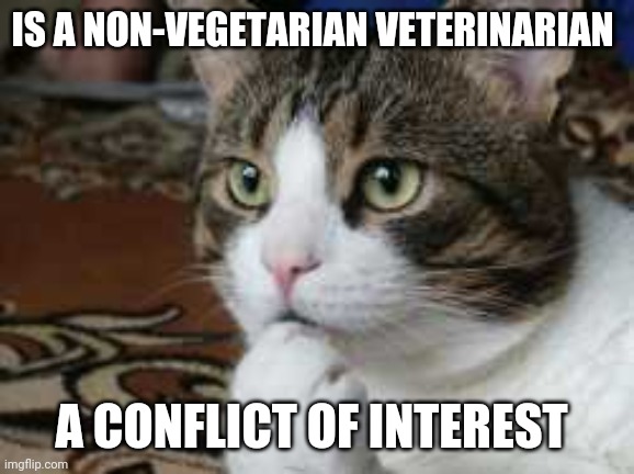 Animal shower thoughts | IS A NON-VEGETARIAN VETERINARIAN; A CONFLICT OF INTEREST | image tagged in ponder cat | made w/ Imgflip meme maker