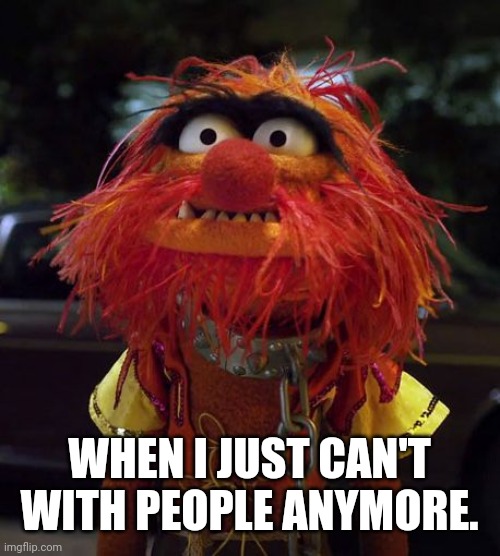 Muppet Animal | WHEN I JUST CAN'T WITH PEOPLE ANYMORE. | image tagged in muppet animal | made w/ Imgflip meme maker