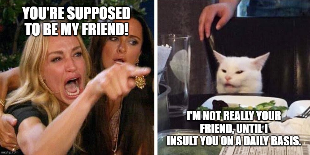 You're not my friend until... | YOU'RE SUPPOSED TO BE MY FRIEND! I'M NOT REALLY YOUR FRIEND, UNTIL I INSULT YOU ON A DAILY BASIS. | image tagged in smudge the cat,cats,memes,woman yelling at cat | made w/ Imgflip meme maker