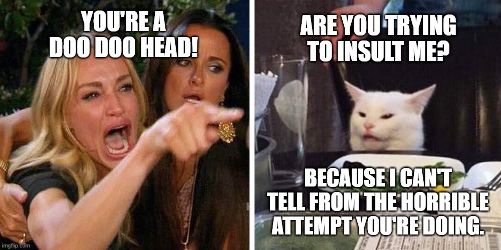 Horrible Insult Attempt | ARE YOU TRYING TO INSULT ME? YOU'RE A DOO DOO HEAD! BECAUSE I CAN'T TELL FROM THE HORRIBLE ATTEMPT YOU'RE DOING. | image tagged in smudge the cat,cats,woman yelling at cat,memes | made w/ Imgflip meme maker