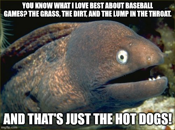 Bad Joke Eel | YOU KNOW WHAT I LOVE BEST ABOUT BASEBALL GAMES? THE GRASS, THE DIRT, AND THE LUMP IN THE THROAT. AND THAT'S JUST THE HOT DOGS! | image tagged in memes,bad joke eel | made w/ Imgflip meme maker