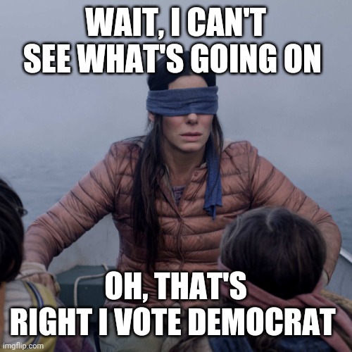 Bird Box Meme | WAIT, I CAN'T SEE WHAT'S GOING ON; OH, THAT'S RIGHT I VOTE DEMOCRAT | image tagged in memes,bird box | made w/ Imgflip meme maker