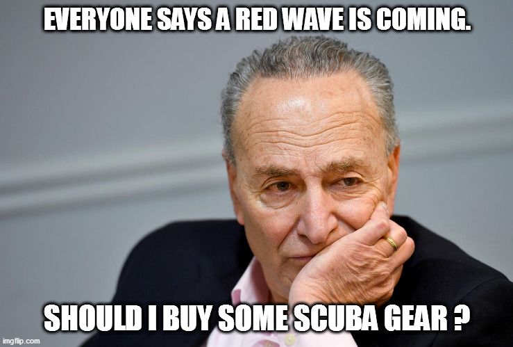 Schumer is lost in thought! | EVERYONE SAYS A RED WAVE IS COMING. SHOULD I BUY SOME SCUBA GEAR ? | image tagged in chuck schumer,libtards,2020 | made w/ Imgflip meme maker