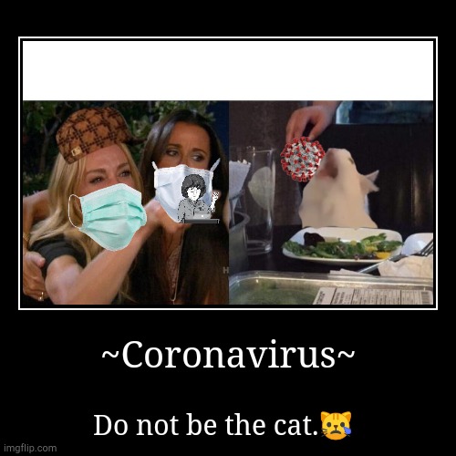 image tagged in funny,demotivationals,coronavirus,covid-19,woman yelling at cat | made w/ Imgflip demotivational maker