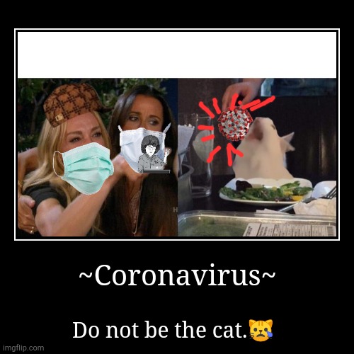 Do NOT be the cat in this situation | image tagged in funny,demotivationals,woman yelling at cat,coronavirus | made w/ Imgflip demotivational maker