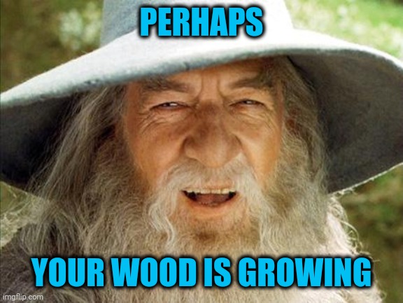 A Wizard Is Never Late | PERHAPS YOUR WOOD IS GROWING | image tagged in a wizard is never late | made w/ Imgflip meme maker