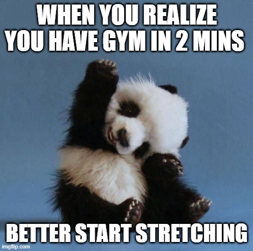 Gym for Pandas | WHEN YOU REALIZE YOU HAVE GYM IN 2 MINS; BETTER START STRETCHING | image tagged in panda | made w/ Imgflip meme maker