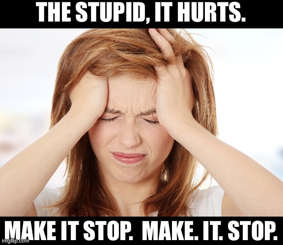 The stupid | THE STUPID, IT HURTS. MAKE IT STOP.  MAKE. IT. STOP. | image tagged in headache | made w/ Imgflip meme maker