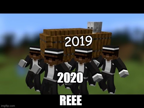 Minecraft Coffin Dance | 2019; 2020; REEE | image tagged in minecraft coffin dance | made w/ Imgflip meme maker