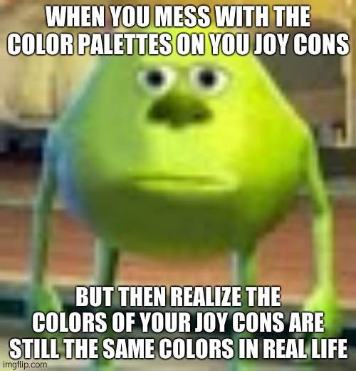 Joy Con Colors | WHEN YOU MESS WITH THE COLOR PALETTES ON YOU JOY CONS; BUT THEN REALIZE THE COLORS OF YOUR JOY CONS ARE STILL THE SAME COLORS IN REAL LIFE | image tagged in sully wazowski | made w/ Imgflip meme maker