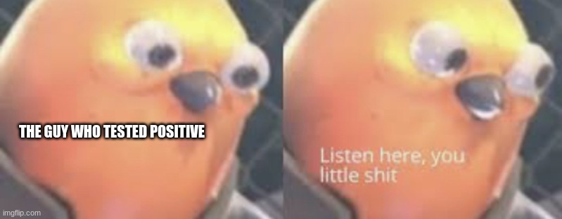Listen here you little shit bird | THE GUY WHO TESTED POSITIVE | image tagged in listen here you little shit bird | made w/ Imgflip meme maker