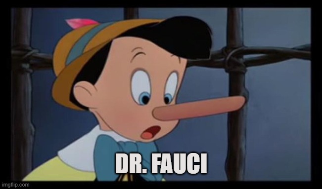 Dr. Pinocchio | DR. FAUCI | image tagged in trump,fauci,covid-19,coronavirus,science,lockdown | made w/ Imgflip meme maker