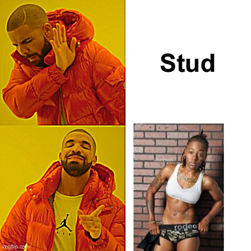 Drake Hotline Bling Meme | Stud | image tagged in memes,drake hotline bling,lesbian,lesbian problems,stud4stud,studmeetstud | made w/ Imgflip meme maker