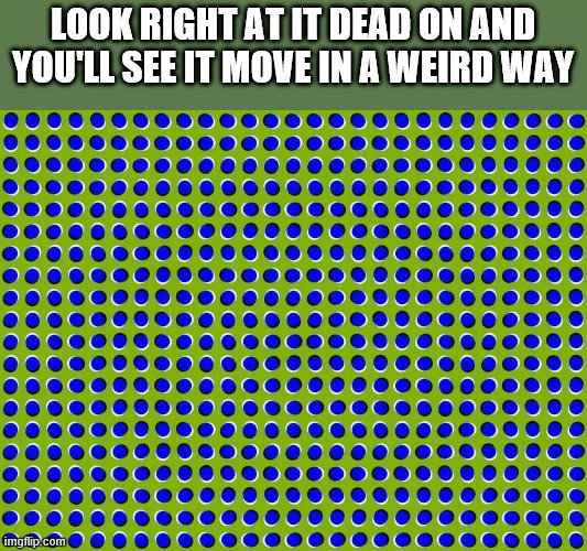 weird Illusion | LOOK RIGHT AT IT DEAD ON AND YOU'LL SEE IT MOVE IN A WEIRD WAY | image tagged in optical illusion,funny memes,dank memes,memes,meme | made w/ Imgflip meme maker