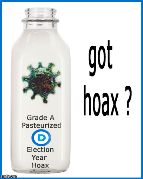 Coronavirus...Got Hoax ? | image tagged in coronavirus,hoax,election year,democrats,got milk,politics lol | made w/ Imgflip meme maker
