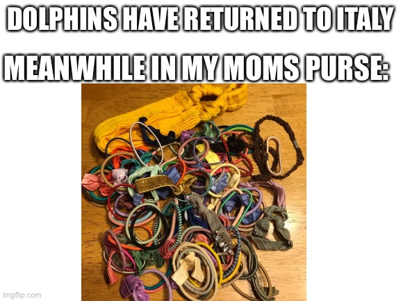 Lol :p | DOLPHINS HAVE RETURNED TO ITALY; MEANWHILE IN MY MOMS PURSE: | image tagged in lost | made w/ Imgflip meme maker