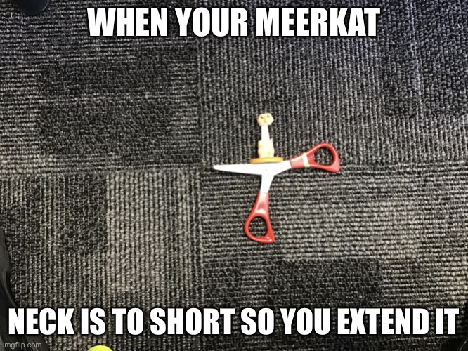 Meerkat with the giraffe neck | WHEN YOUR MEERKAT; NECK IS TO SHORT SO YOU EXTEND IT | image tagged in long neck meerkat,memes,funny memes,funny,covid-19,coronavirus | made w/ Imgflip meme maker