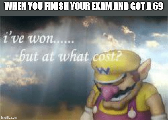 I've won but at what cost? | WHEN YOU FINISH YOUR EXAM AND GOT A 69 | image tagged in i've won but at what cost | made w/ Imgflip meme maker
