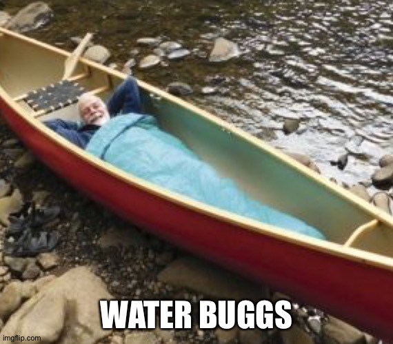 WATER BUGGS | made w/ Imgflip meme maker