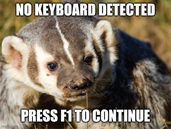 BIOS Badger | NO KEYBOARD DETECTED; PRESS F1 TO CONTINUE | image tagged in bios badger | made w/ Imgflip meme maker