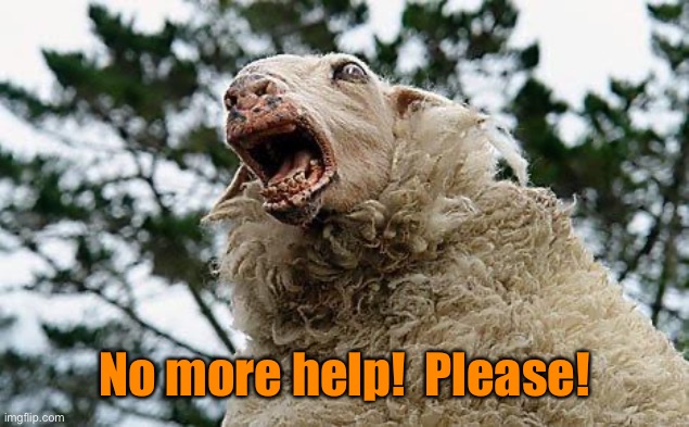 Mad Sheep | No more help!  Please! | image tagged in mad sheep | made w/ Imgflip meme maker