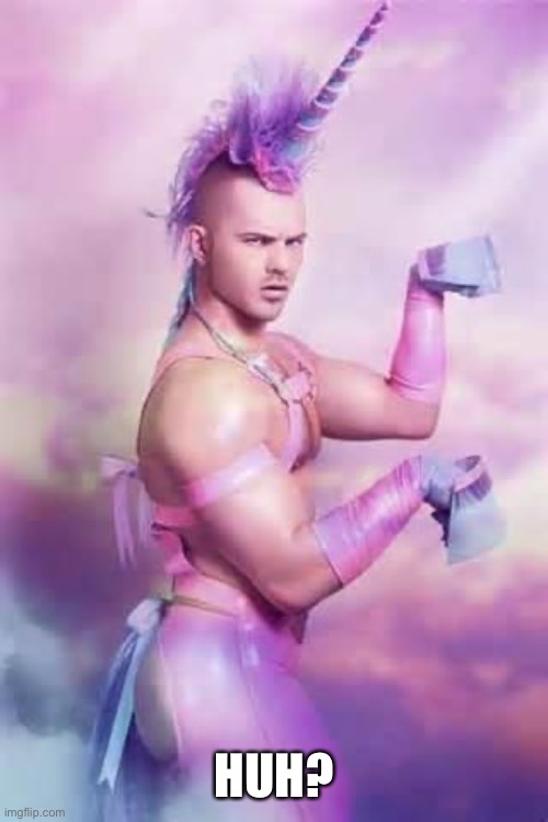 Gay Unicorn | HUH? | image tagged in gay unicorn | made w/ Imgflip meme maker
