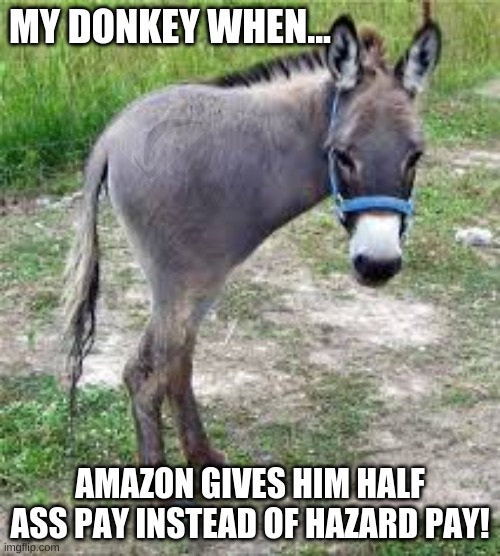 Half Ass Pay | MY DONKEY WHEN... AMAZON GIVES HIM HALF ASS PAY INSTEAD OF HAZARD PAY! | image tagged in amazon employees,amazon,employees,donkey,half a donkey | made w/ Imgflip meme maker