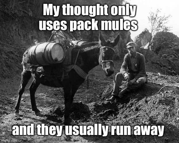 My thought only uses pack mules and they usually run away | made w/ Imgflip meme maker