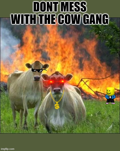 dont mess with the THE COW GANG | DONT MESS WITH THE COW GANG | image tagged in memes,evil cows | made w/ Imgflip meme maker